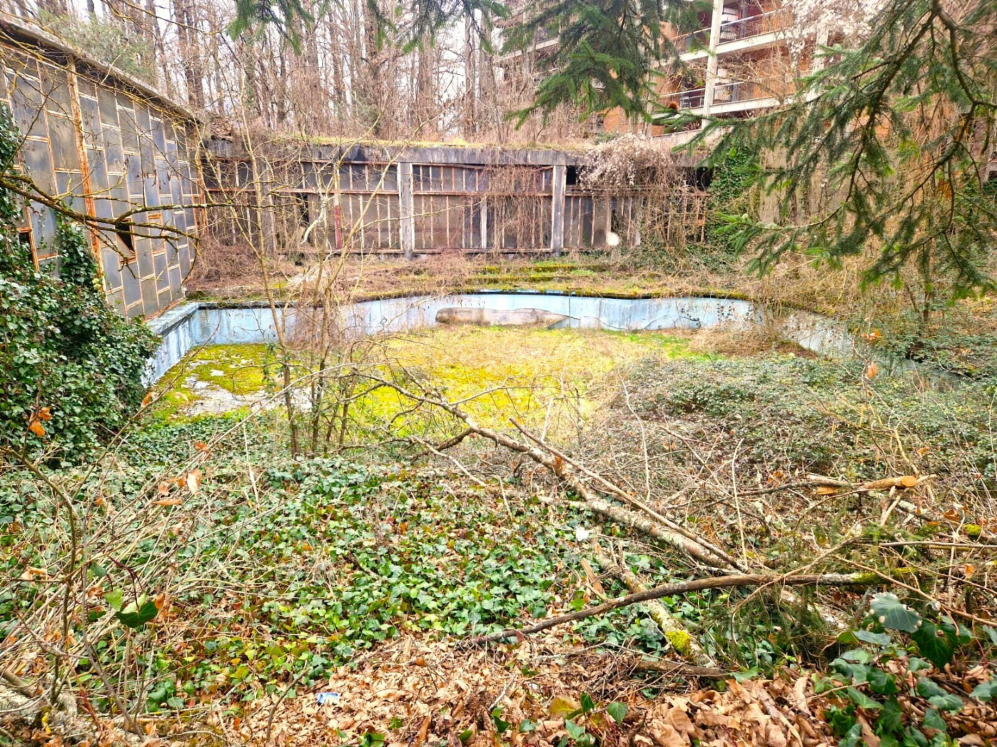 immagine annuncio 4 di 6