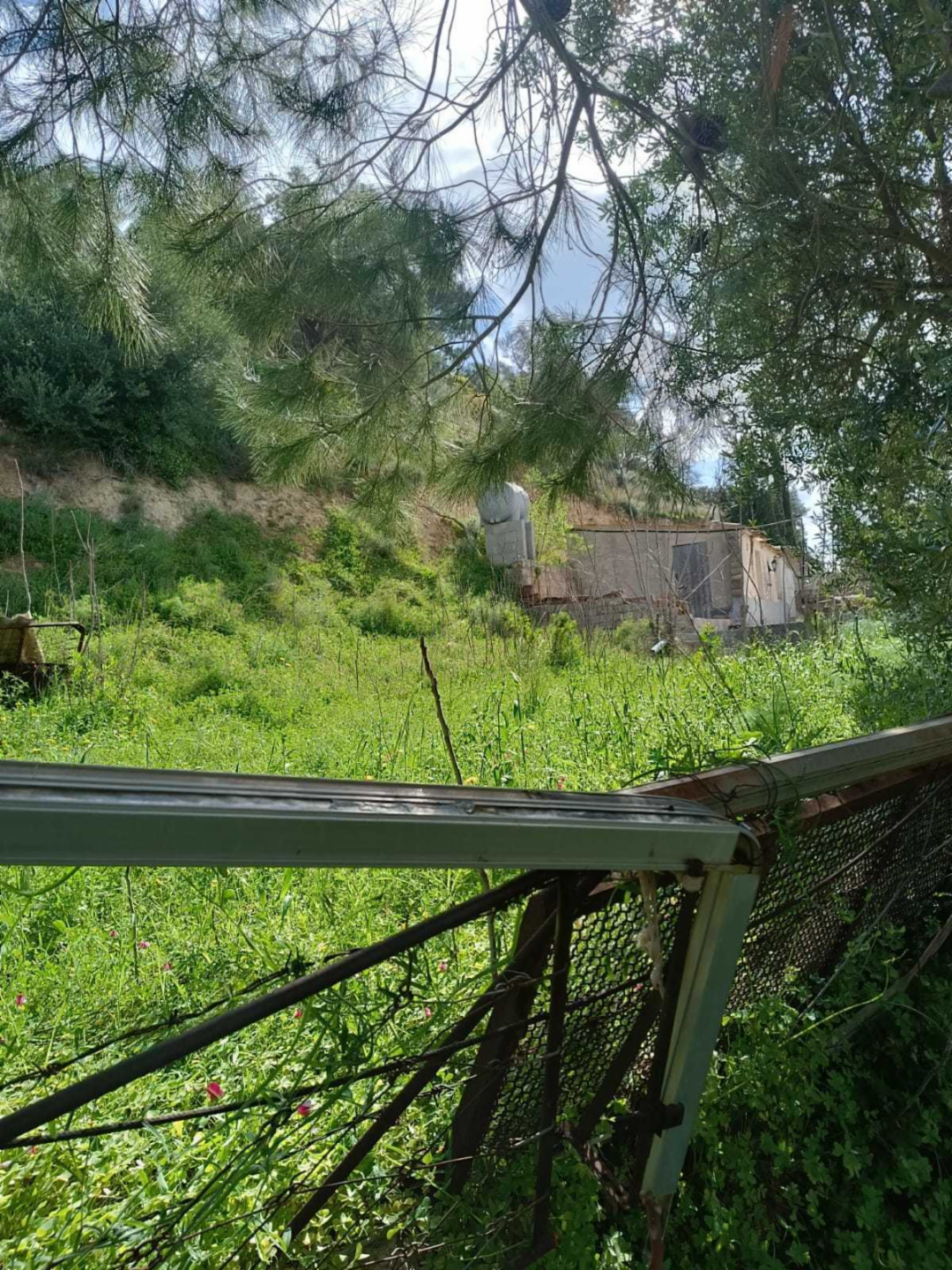 immagine annuncio 3 di 7
