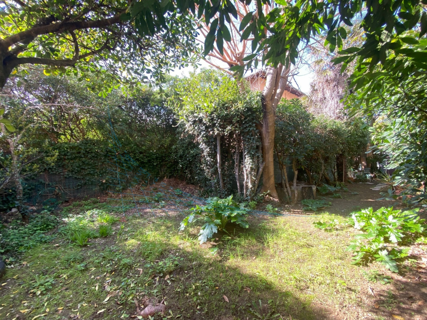 casa indipendente in vendita a Rosignano Marittimo in zona Castiglioncello