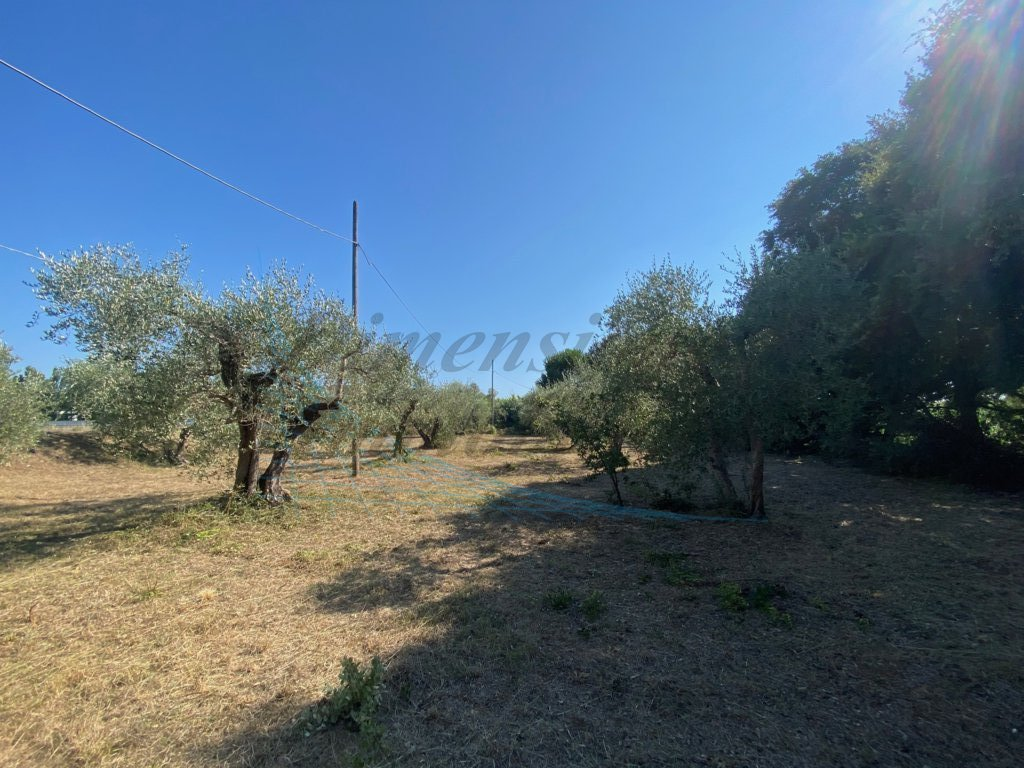 immagine annuncio 1 di 9