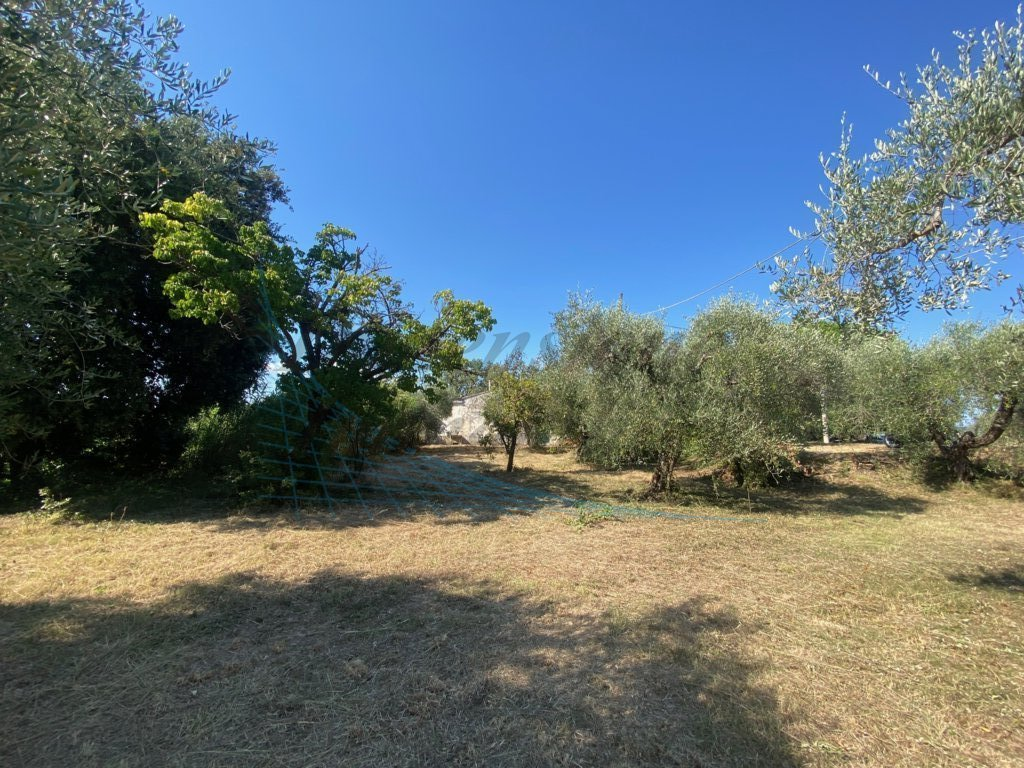 immagine annuncio 5 di 9