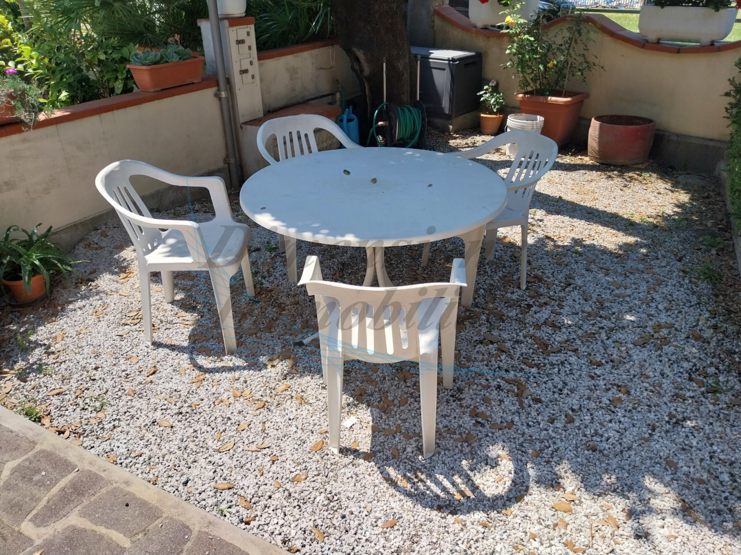immagine annuncio 4 di 6