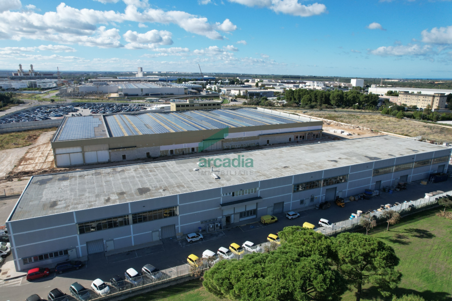 immagine annuncio 3 di 10