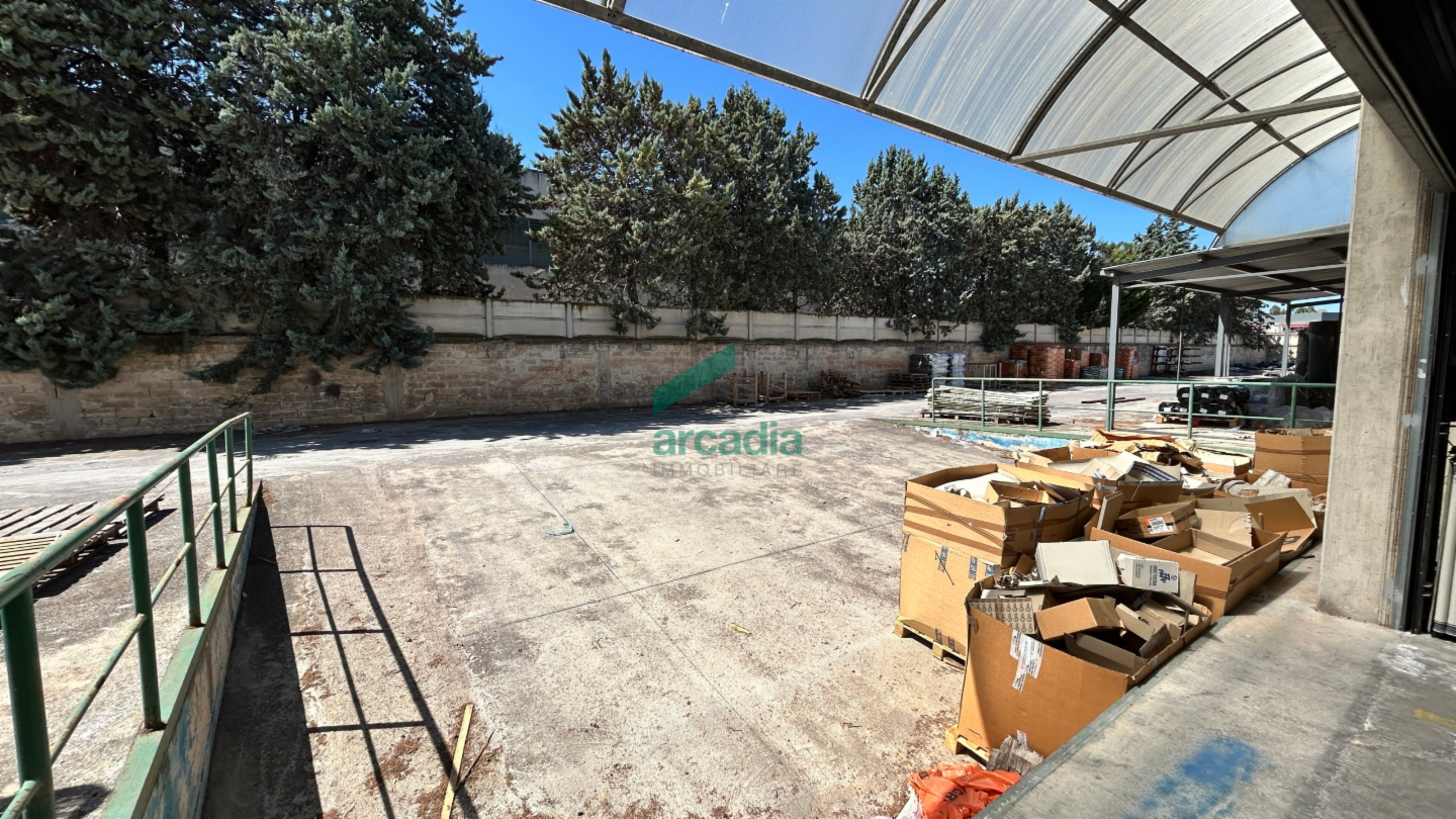 immagine annuncio 4 di 10