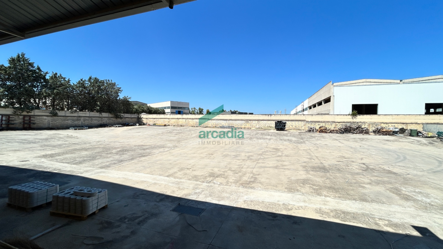 immagine annuncio 9 di 10