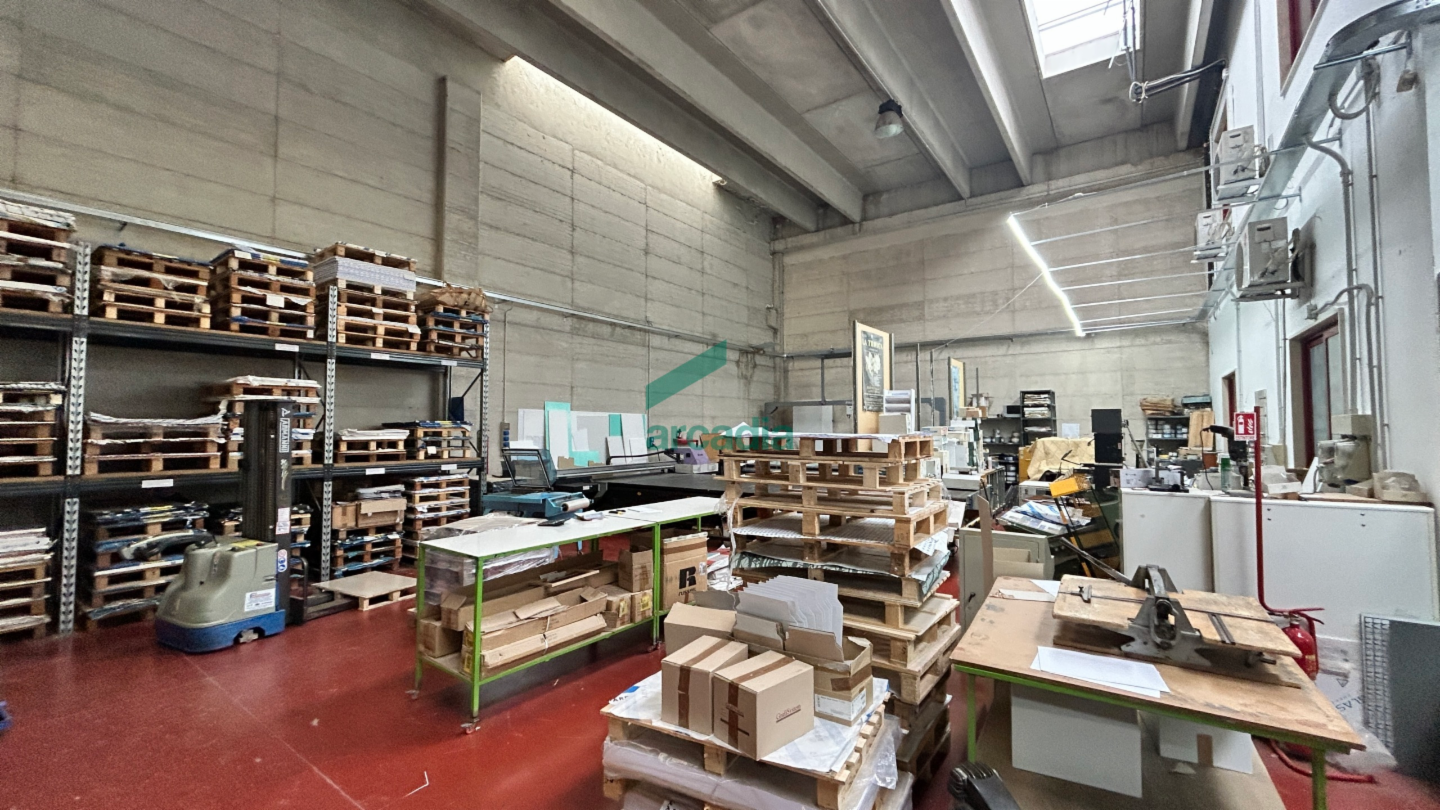 immagine annuncio 3 di 10