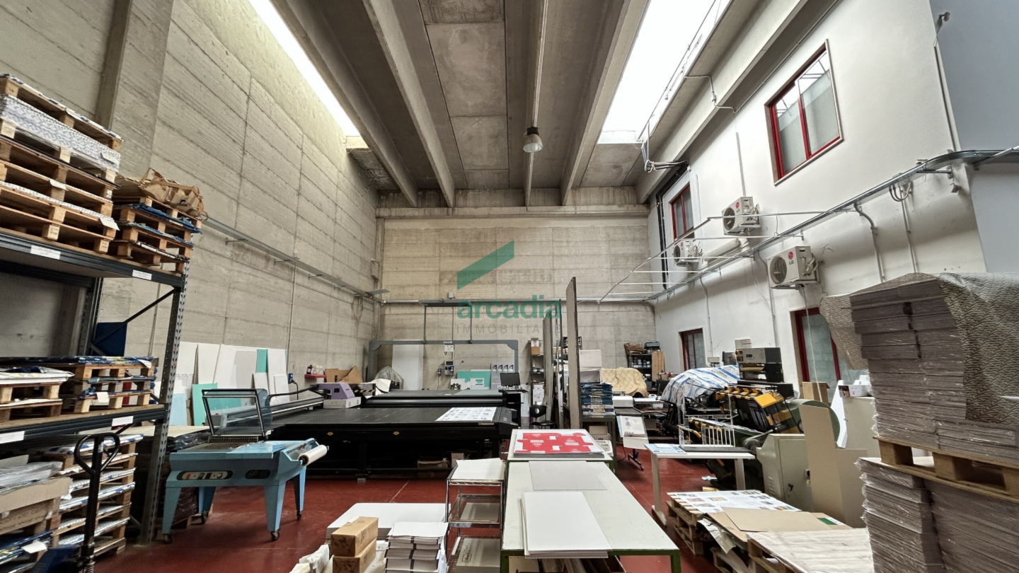 immagine annuncio 9 di 10