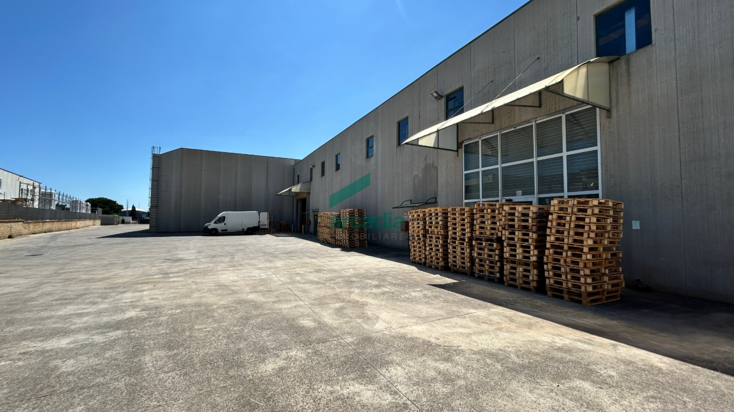 immagine annuncio 7 di 10