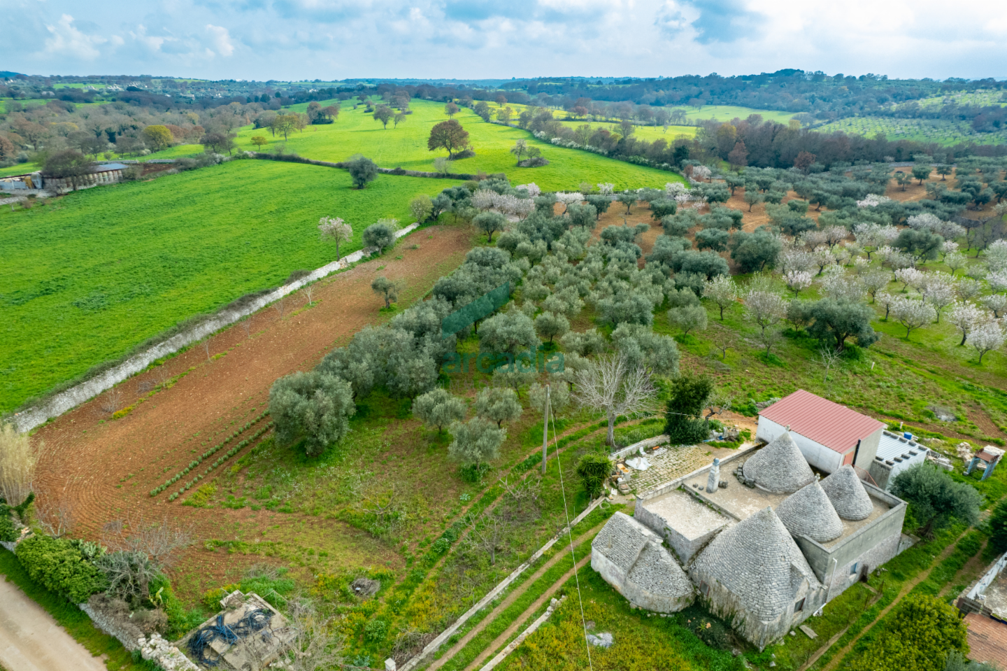 casa indipendente in vendita a Monopoli