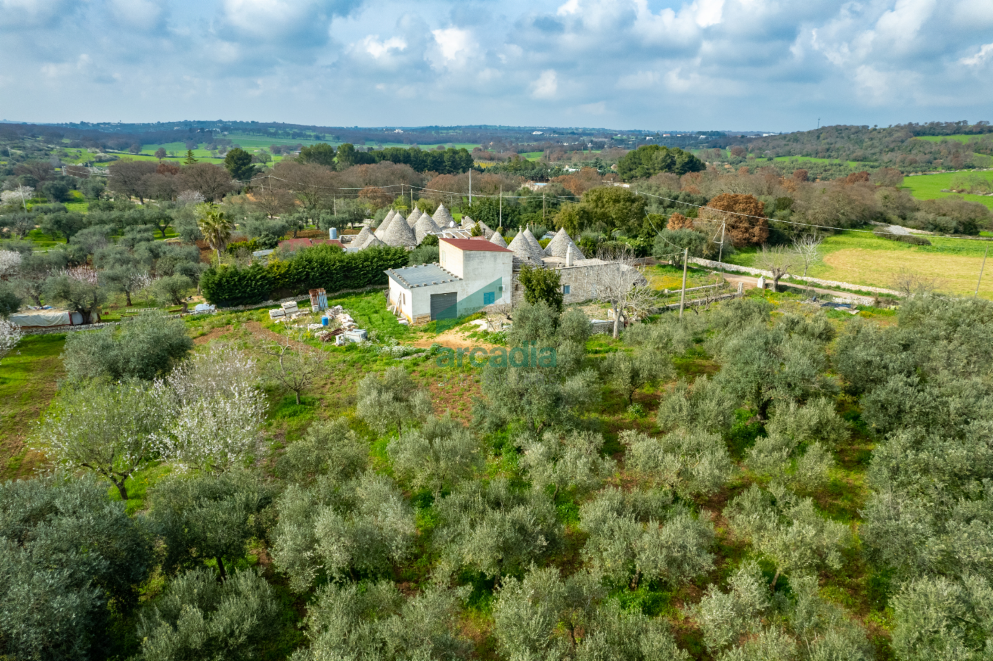 immagine annuncio 1 di 10