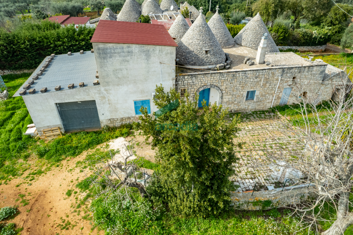 immagine annuncio 2 di 10