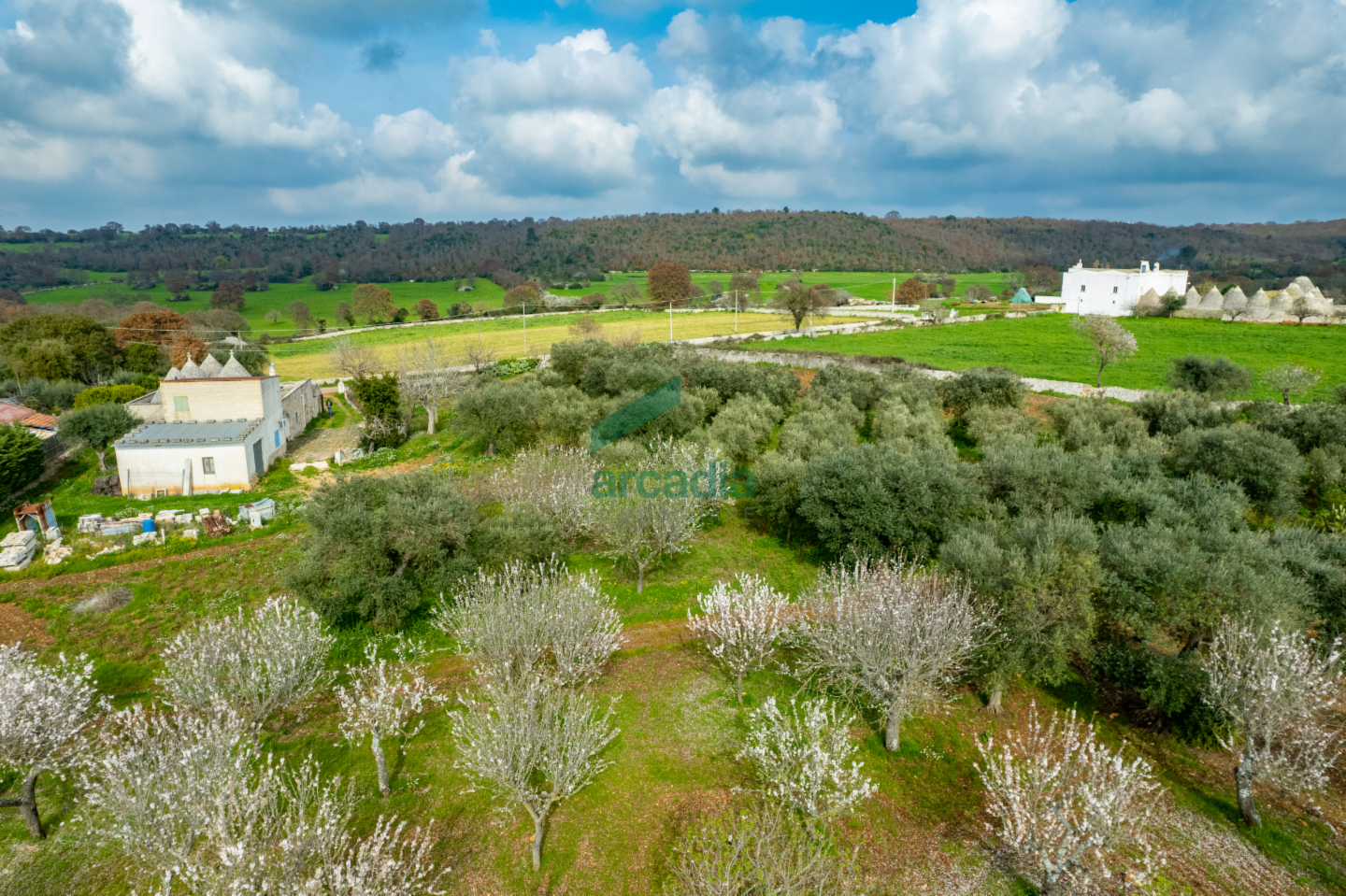 immagine annuncio 5 di 10