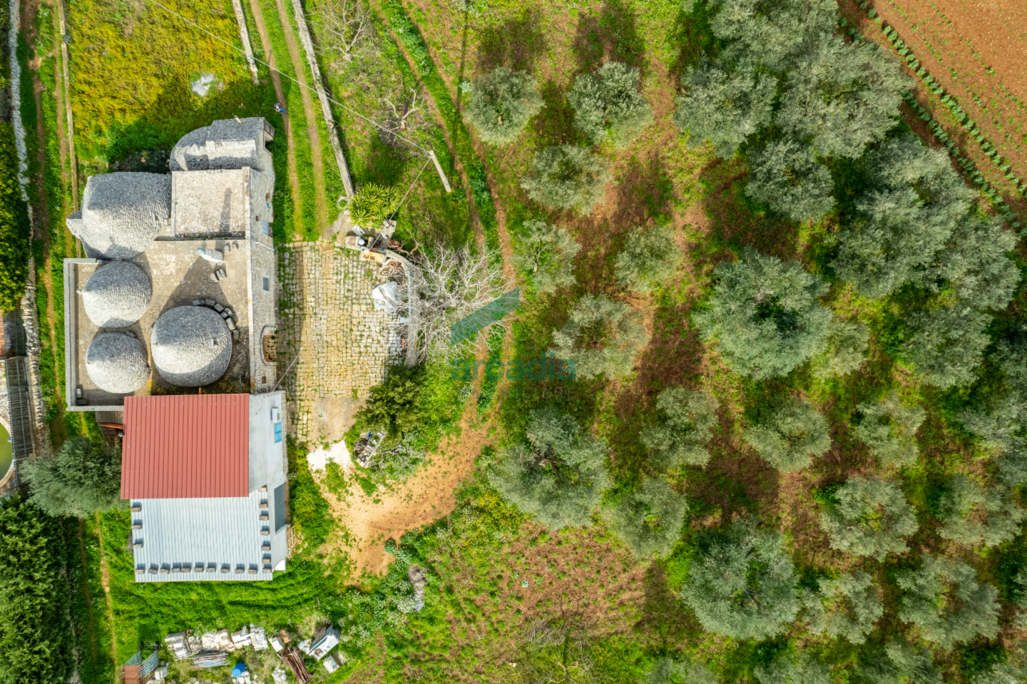 immagine annuncio 7 di 10