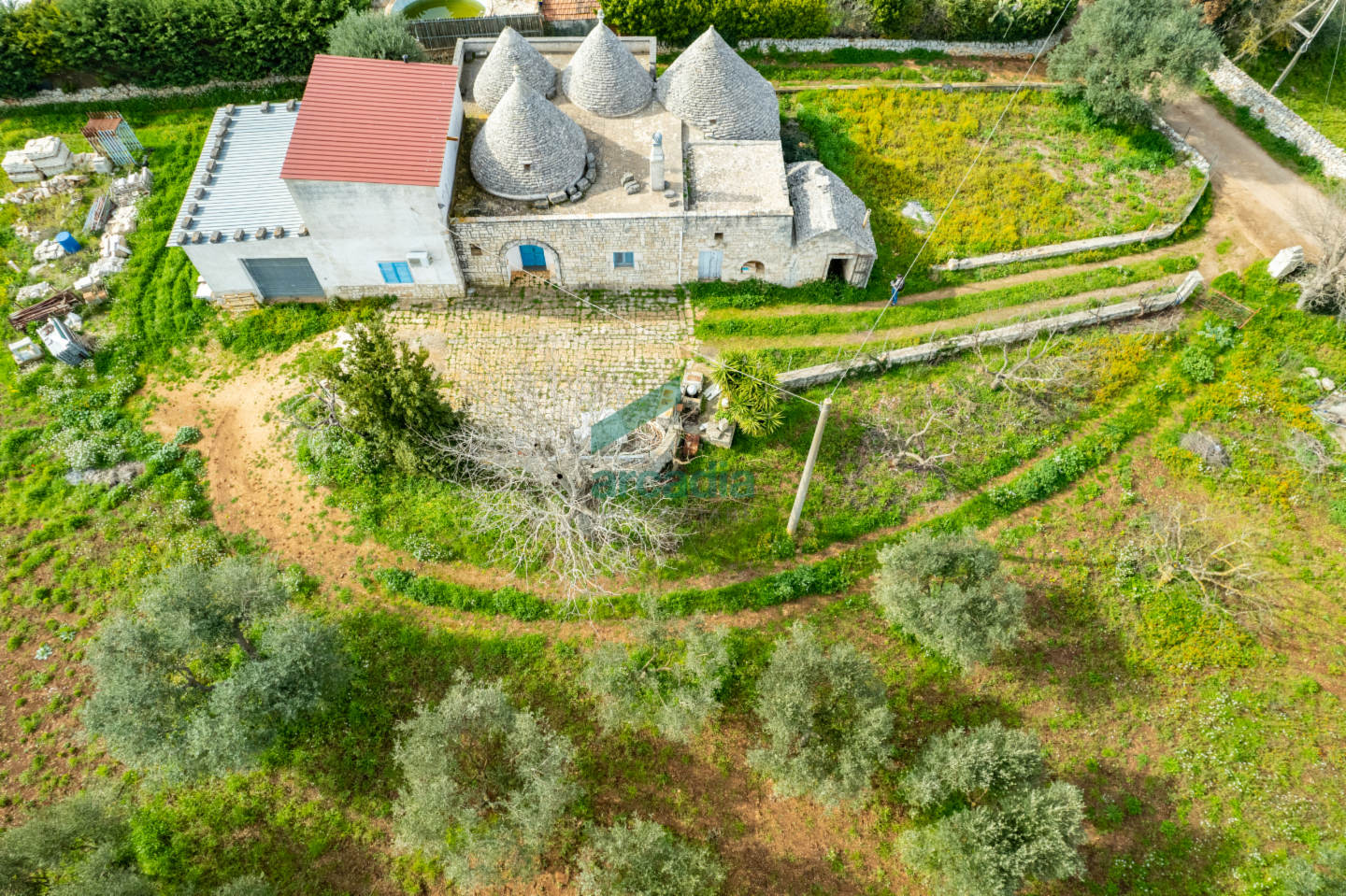 immagine annuncio 8 di 10