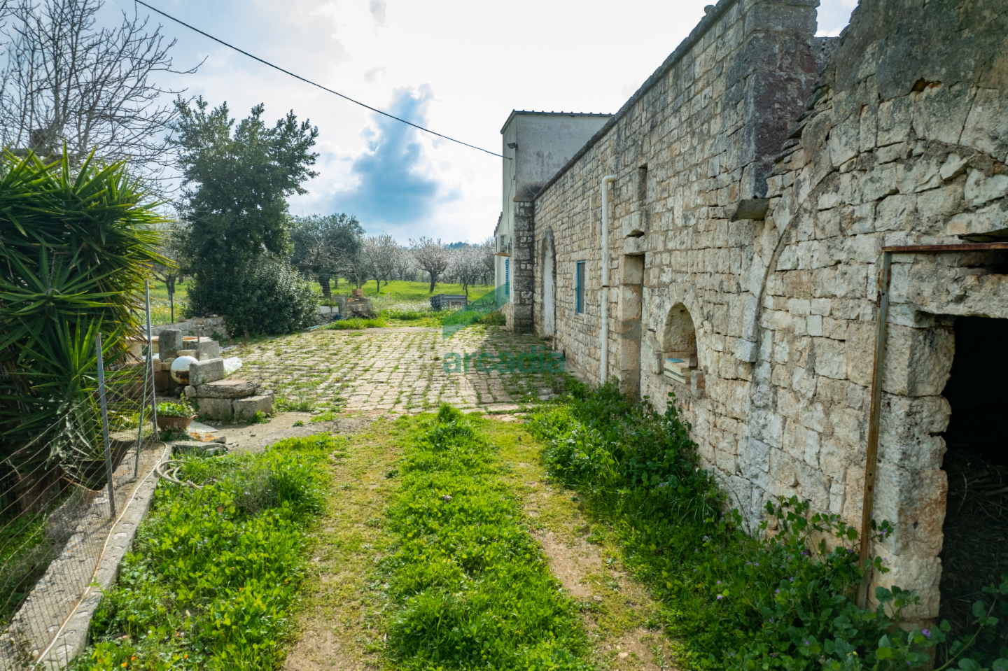 immagine annuncio 9 di 10