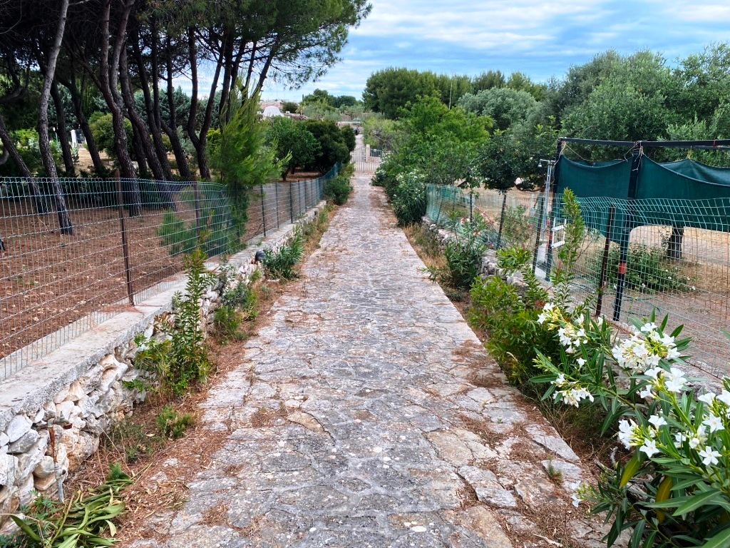 immagine annuncio 5 di 10