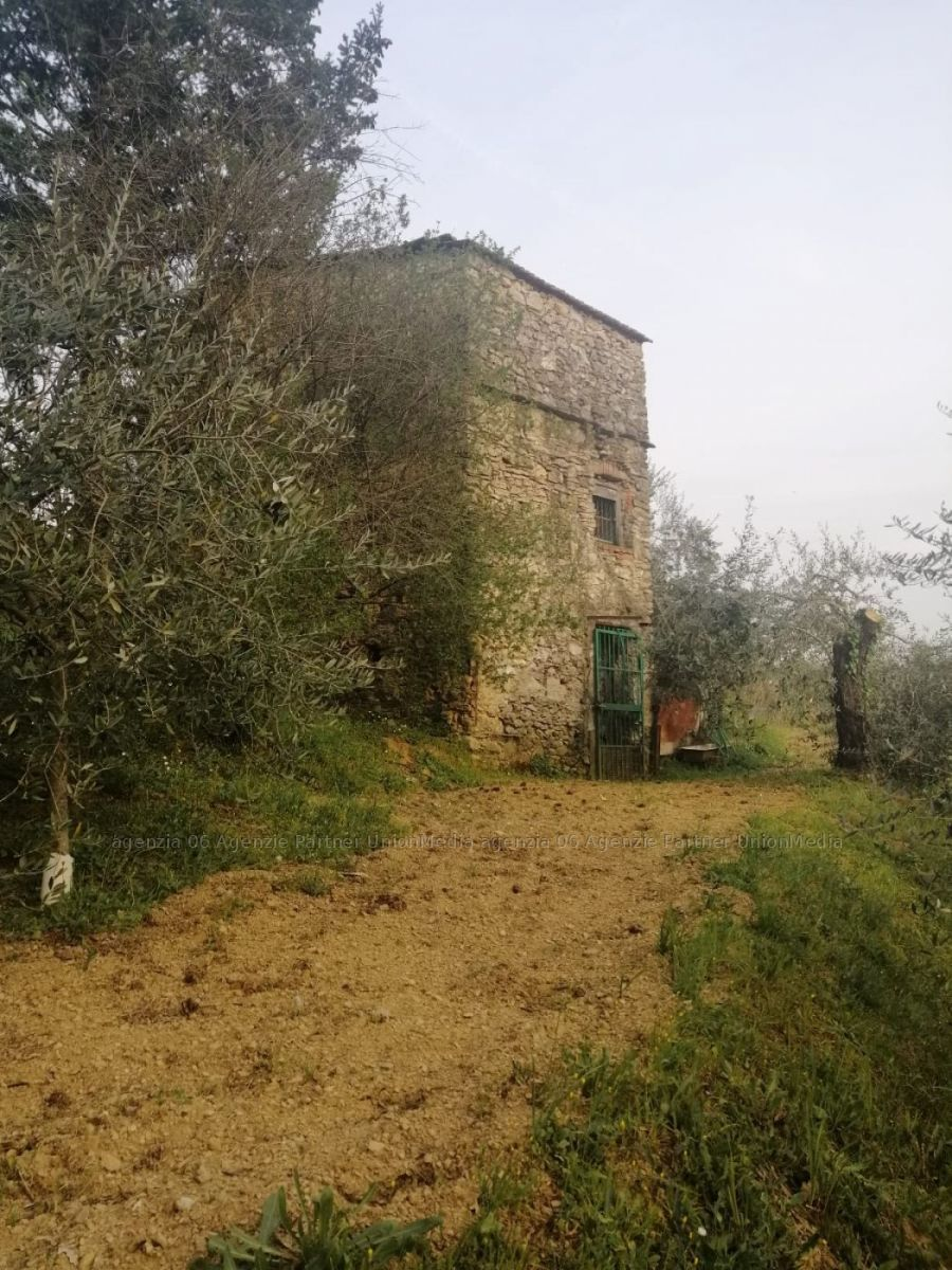 immagine annuncio 4 di 7