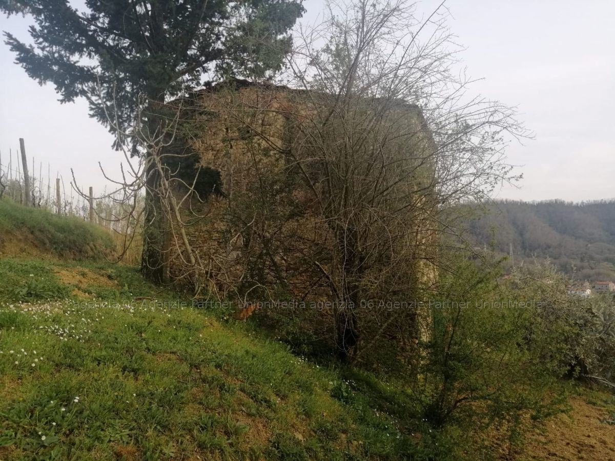 immagine annuncio 2 di 7