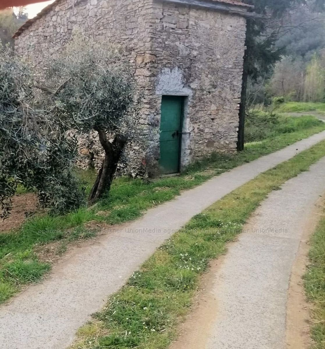 immagine annuncio 5 di 7