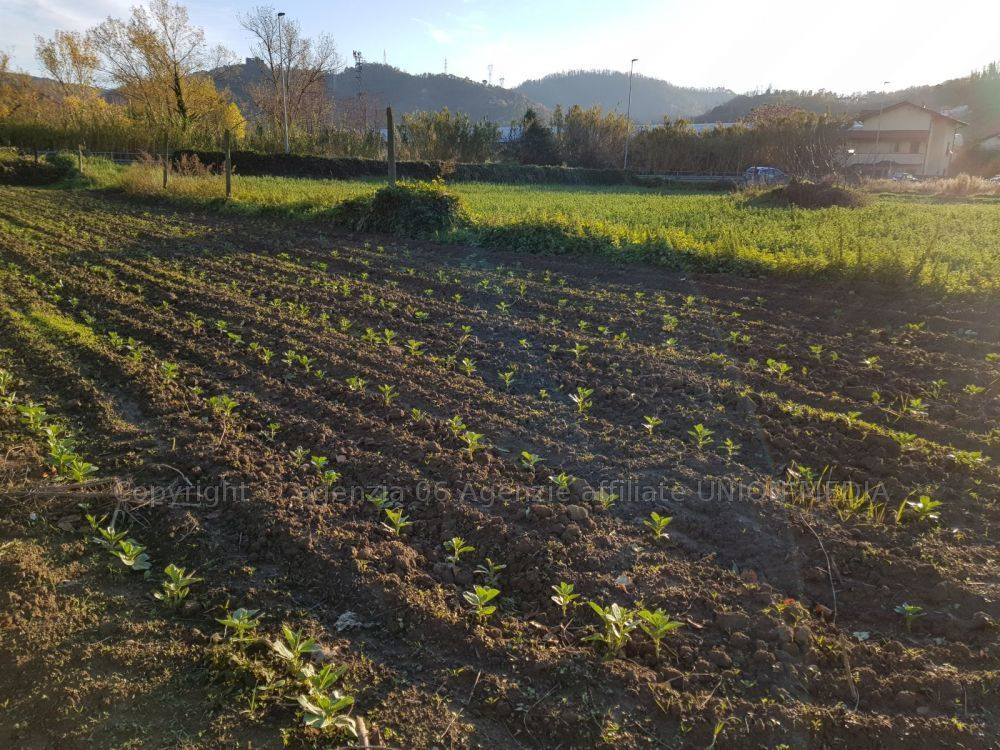 immagine annuncio 2 di 7