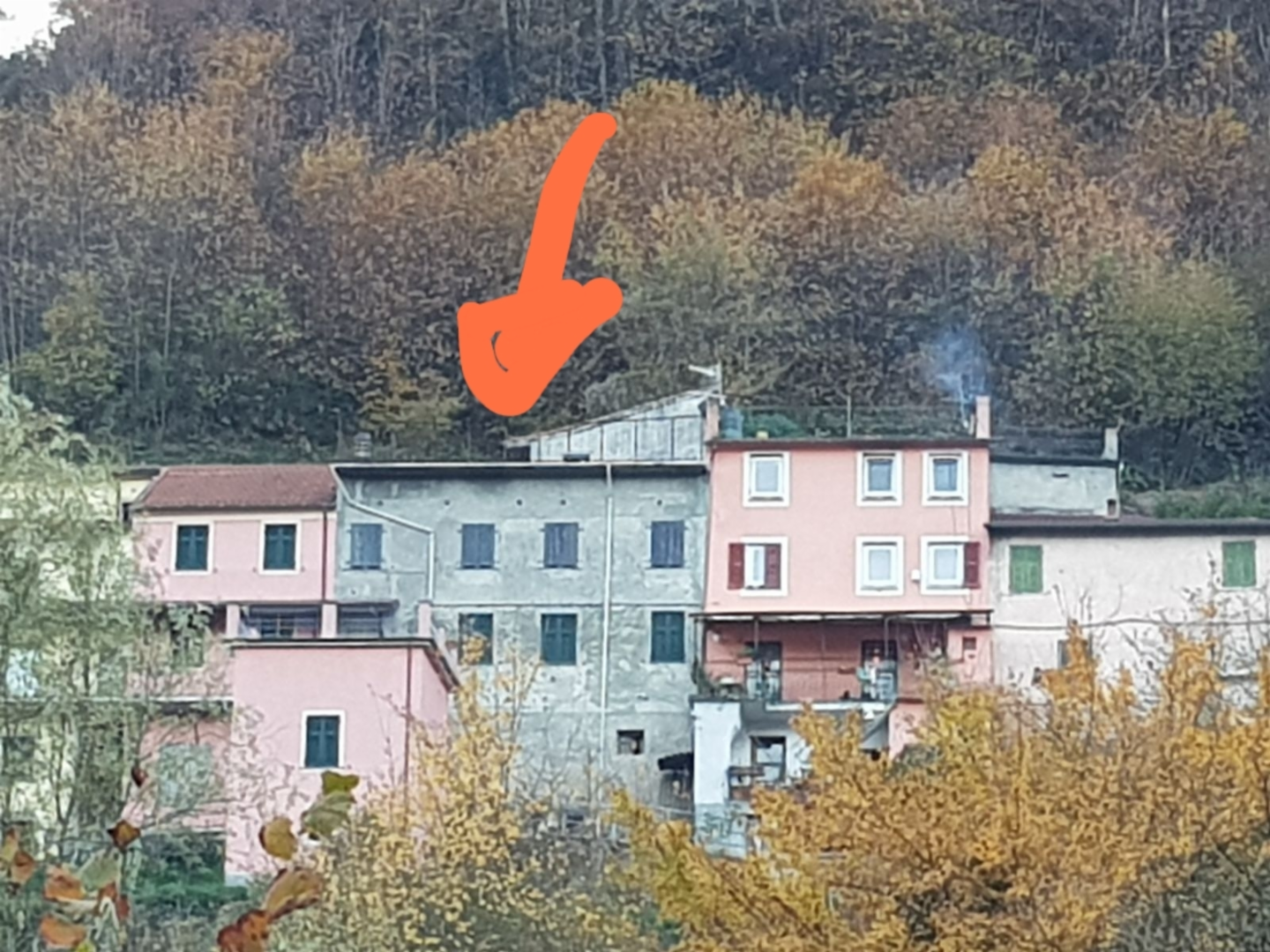 immagine annuncio 3 di 6