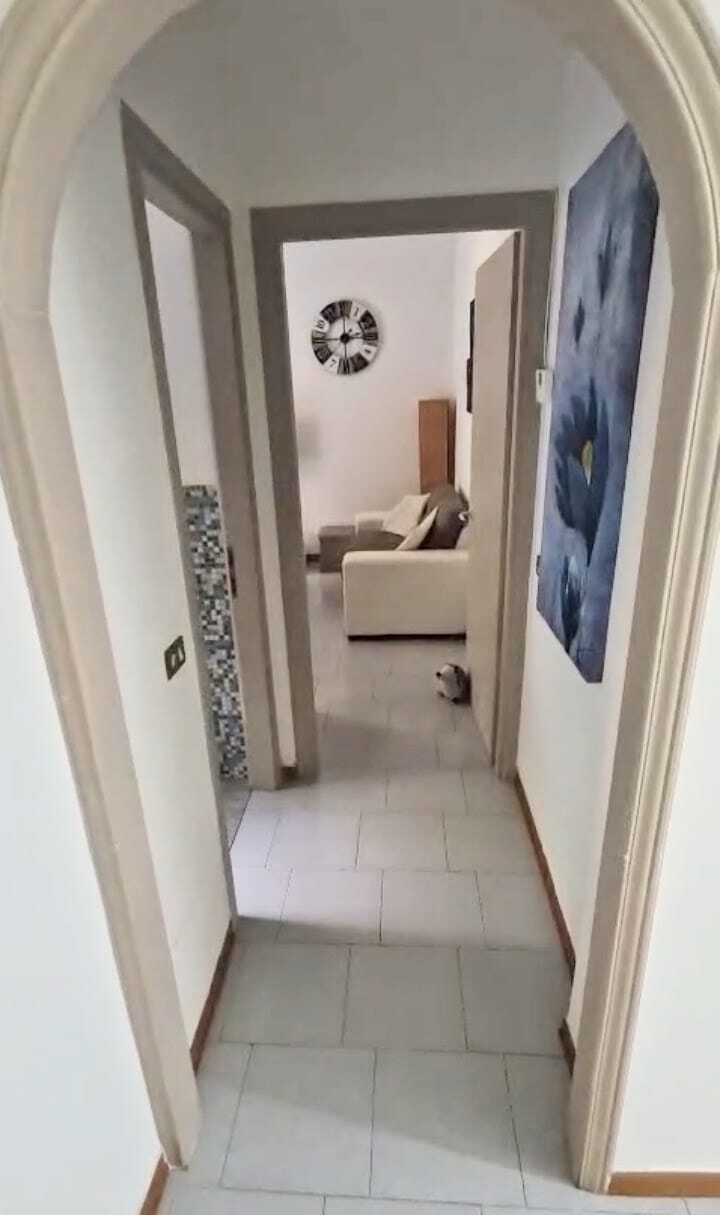 immagine annuncio 6 di 7