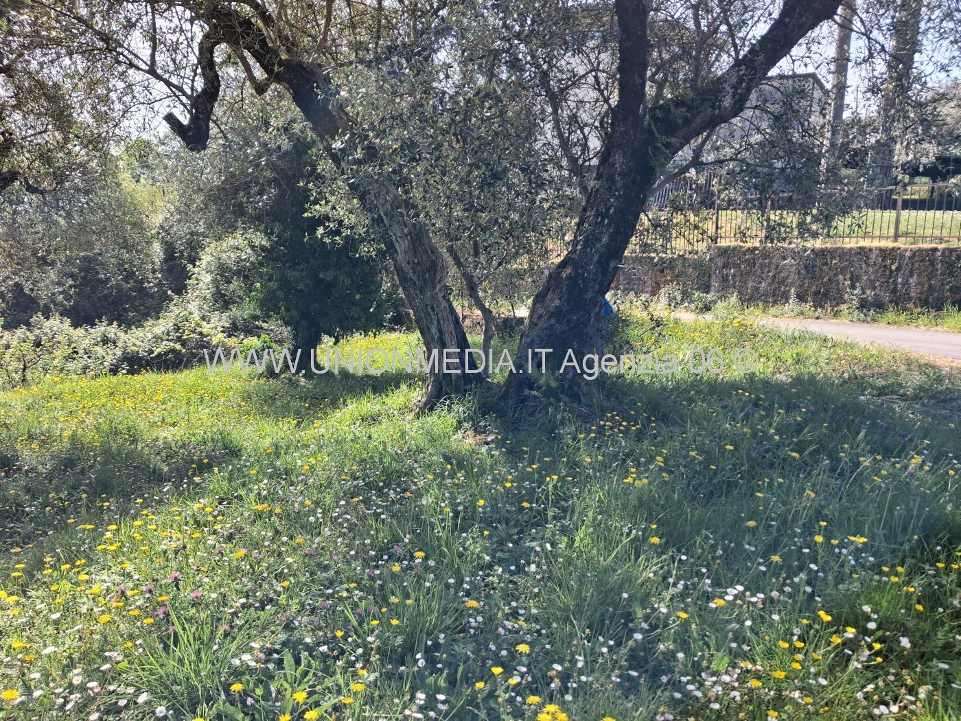 immagine annuncio 1 di 3