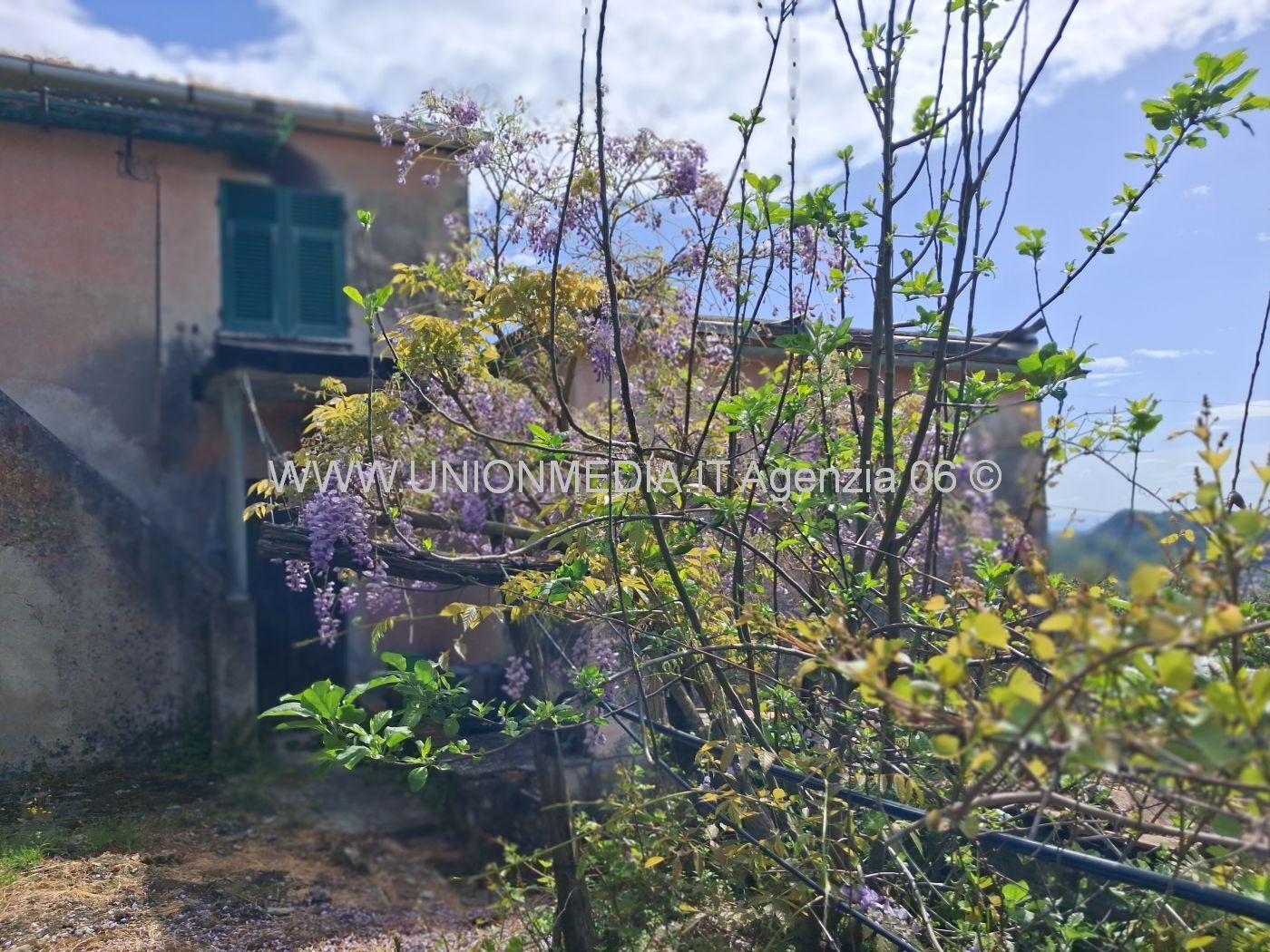 immagine annuncio 4 di 10