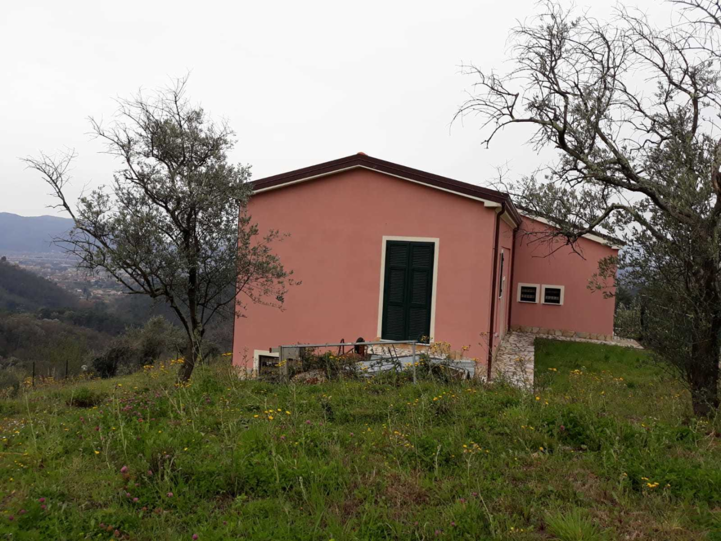 immagine annuncio 6 di 7
