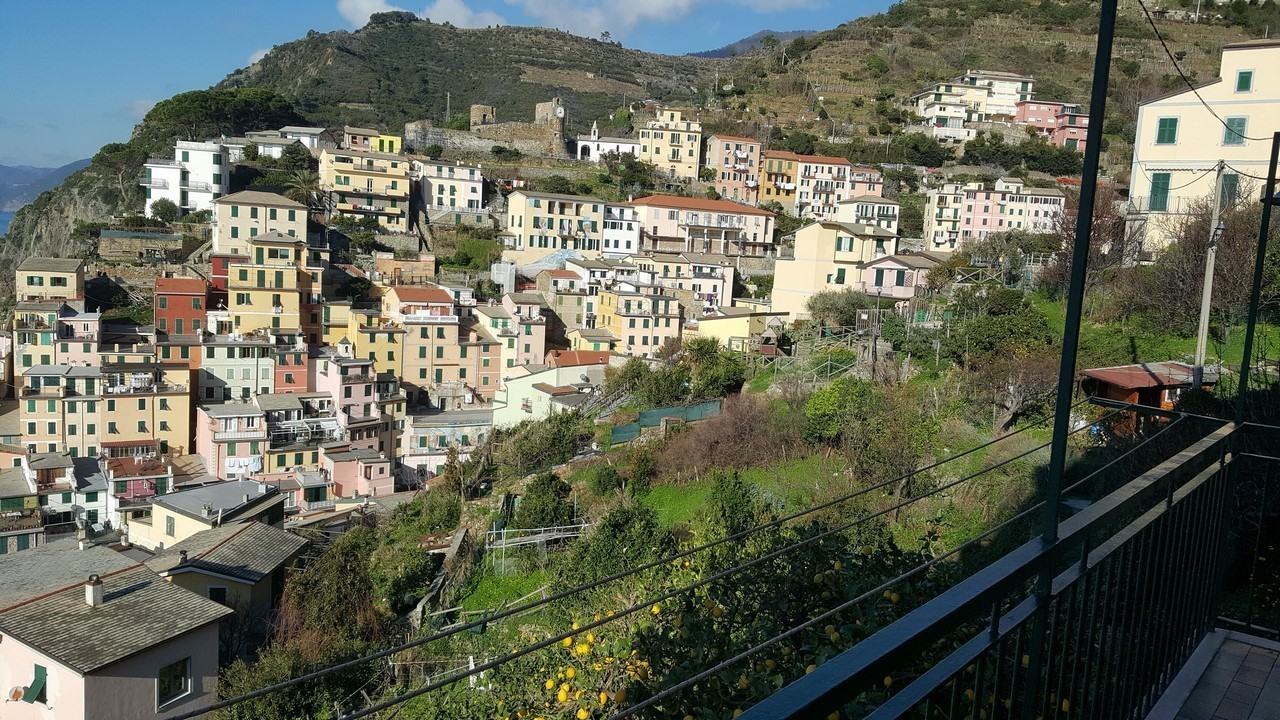 immagine annuncio 9 di 10
