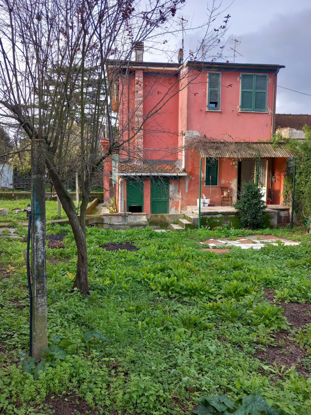 immagine annuncio 4 di 10