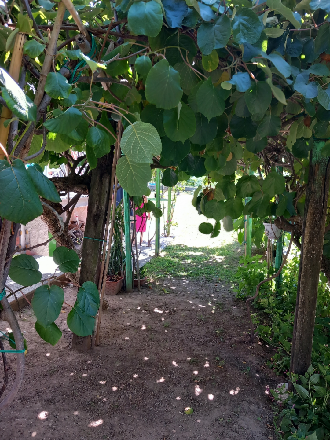 immagine annuncio 6 di 10