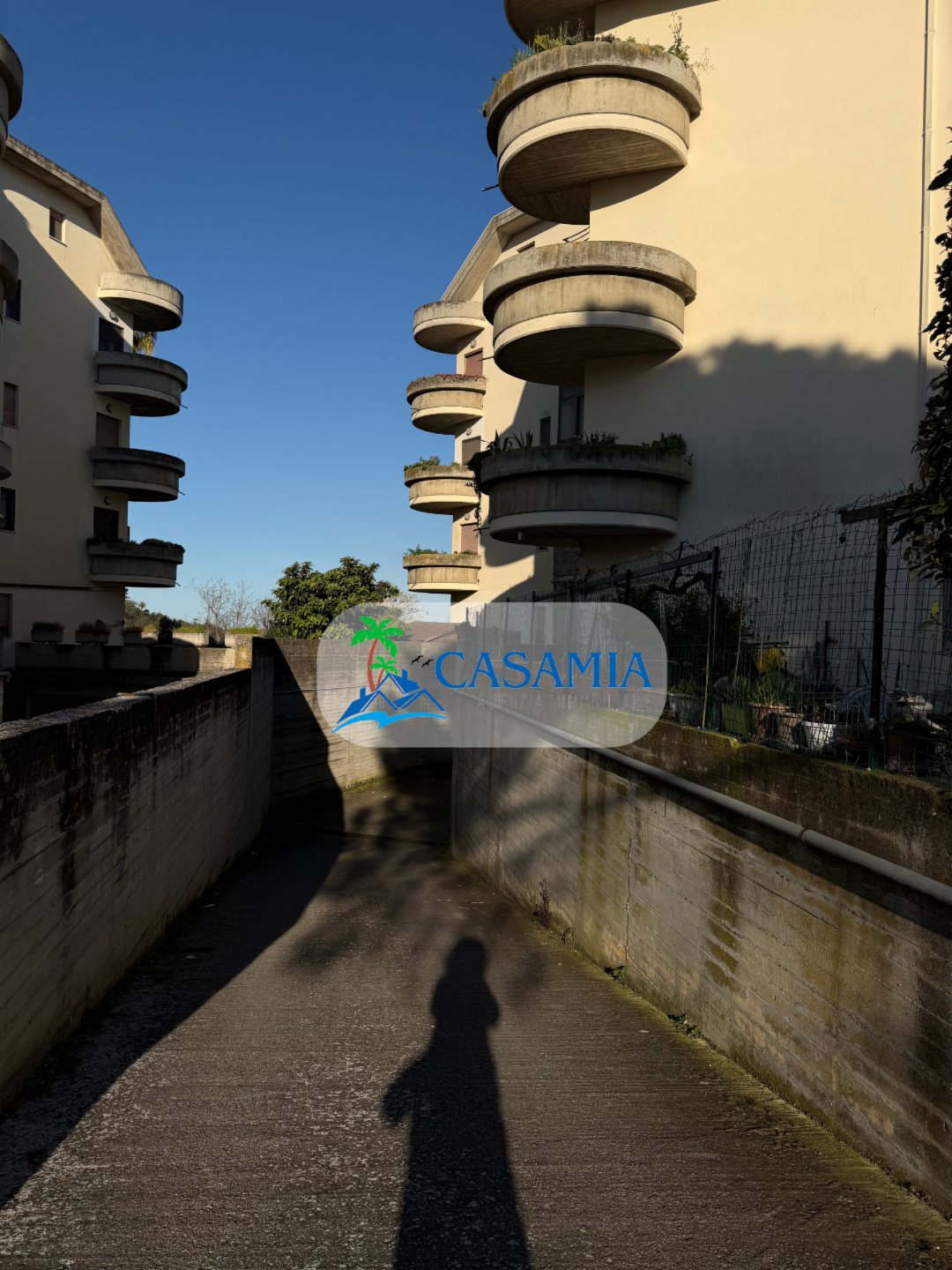 immagine annuncio 6 di 7