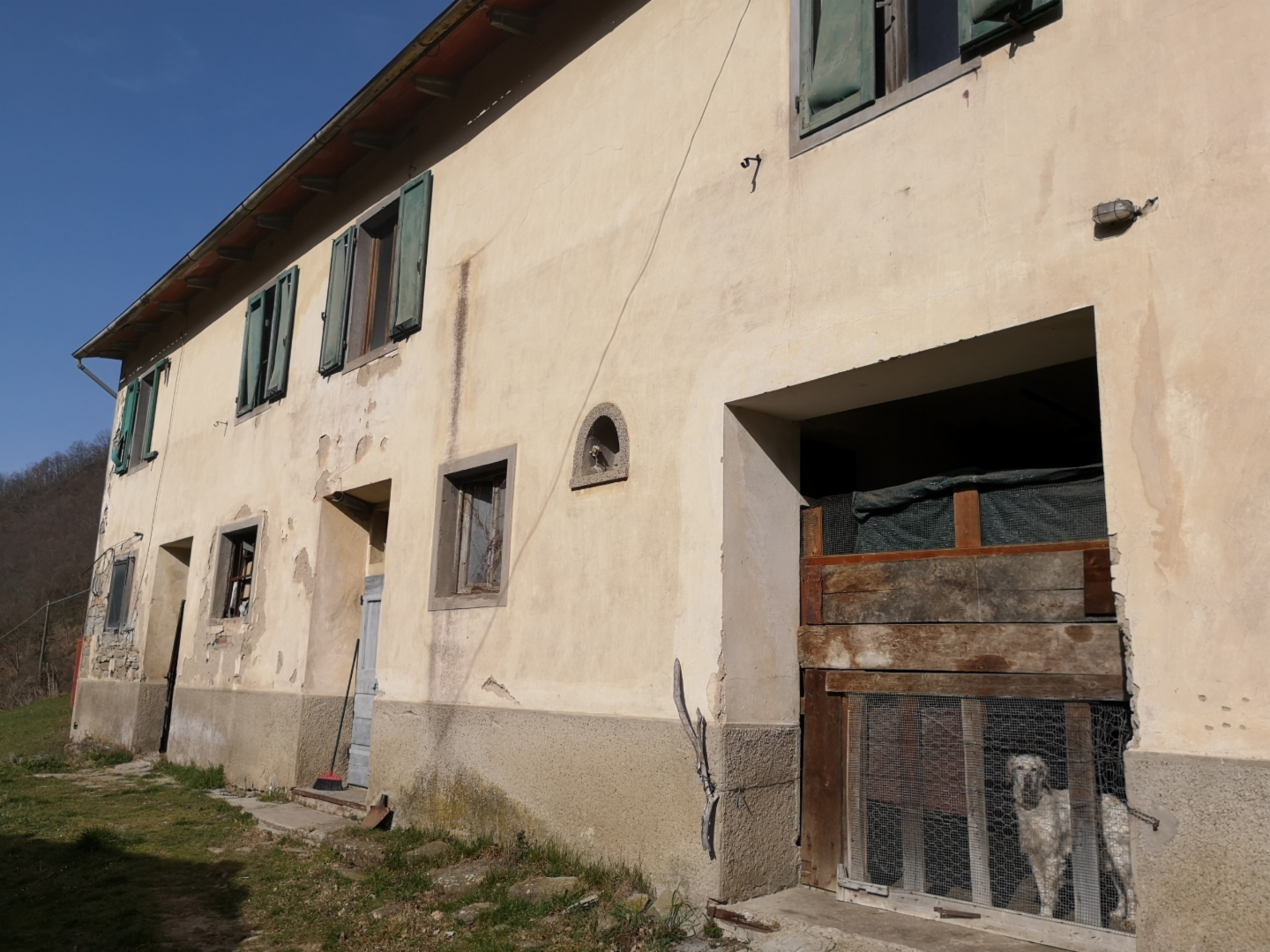 immagine annuncio 4 di 10