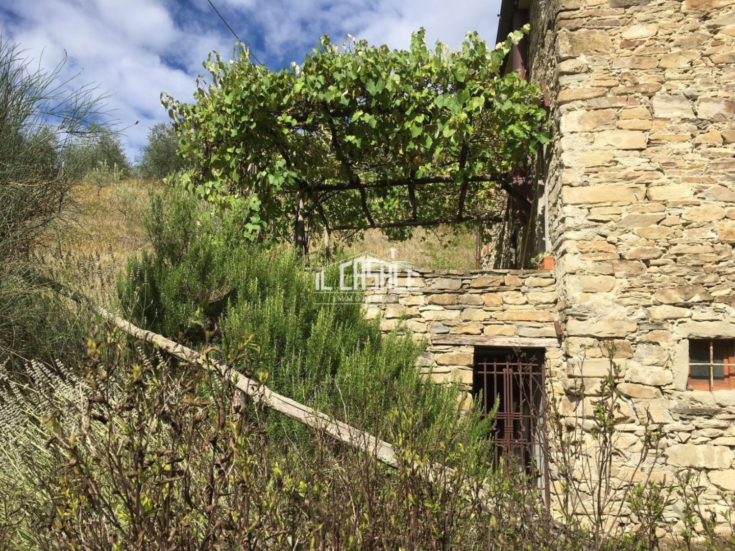 immagine annuncio 8 di 10