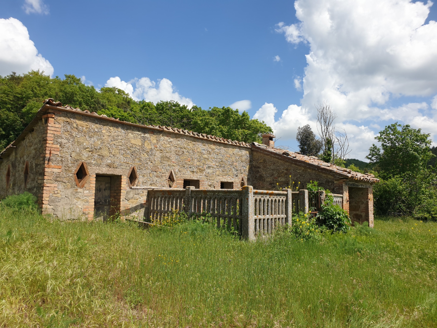 immagine annuncio 8 di 10