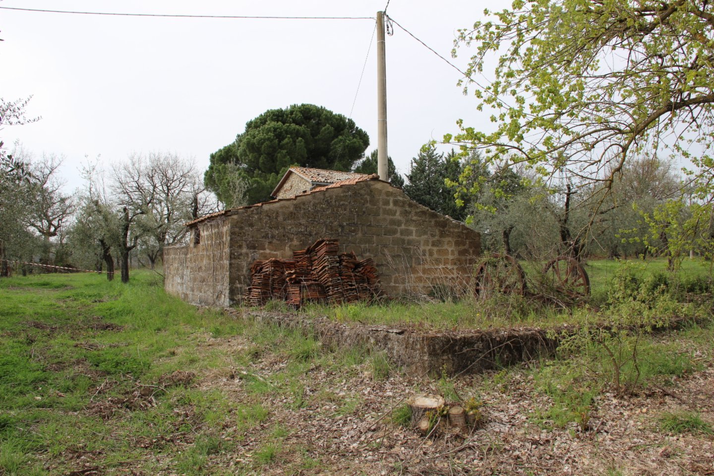 immagine annuncio 9 di 10