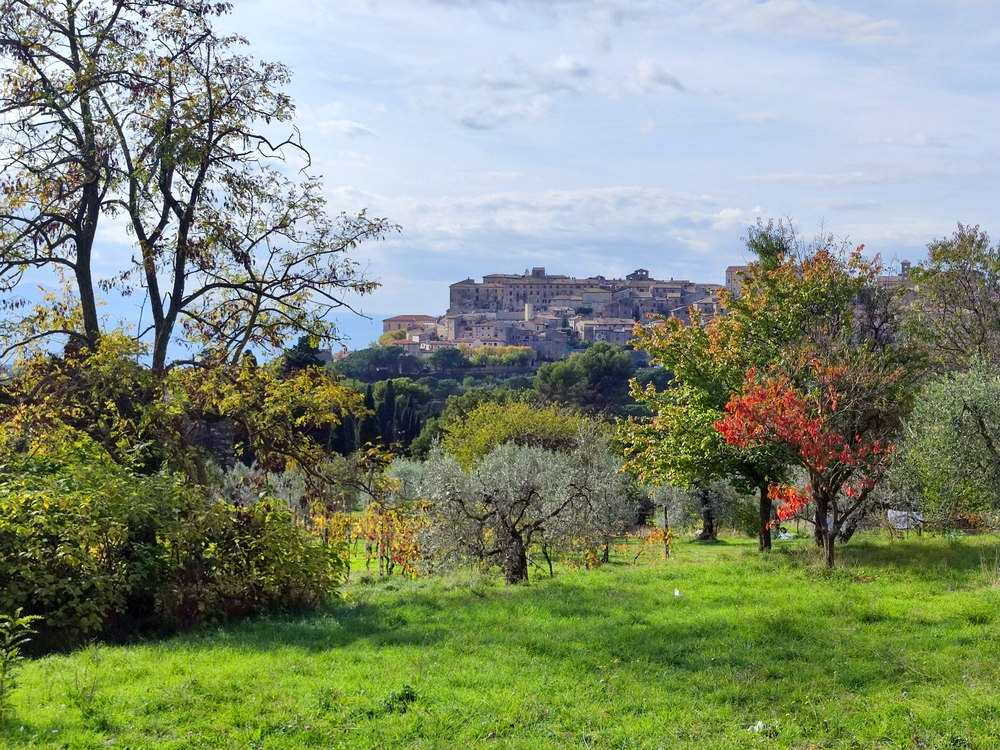immagine annuncio 2 di 6