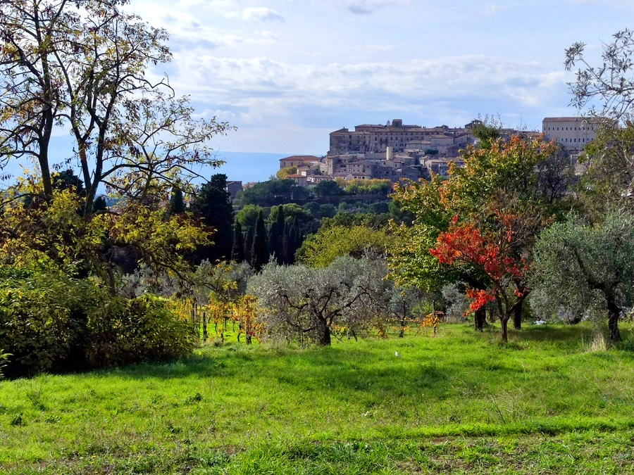 immagine annuncio 5 di 6