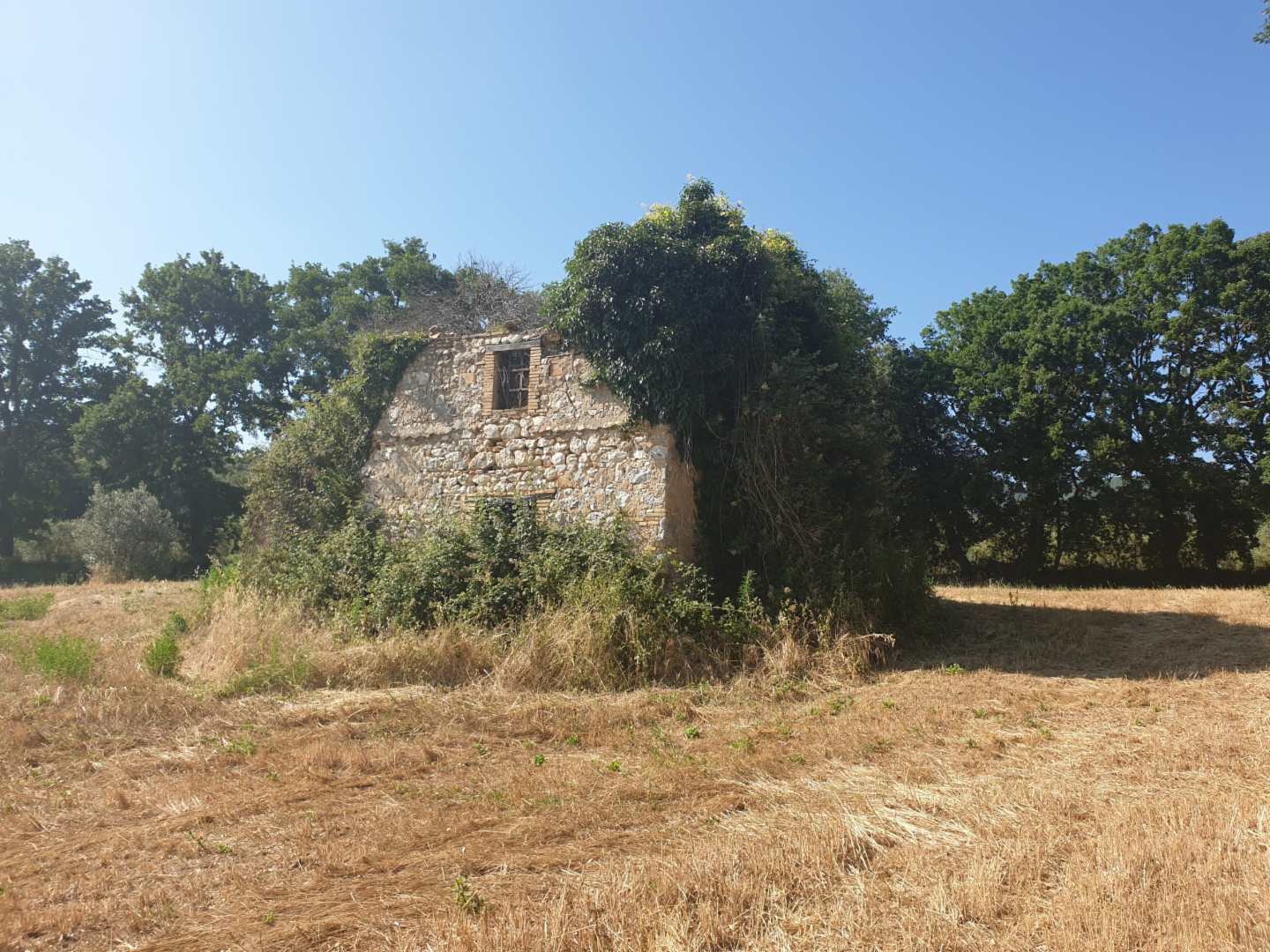 immagine annuncio 2 di 8