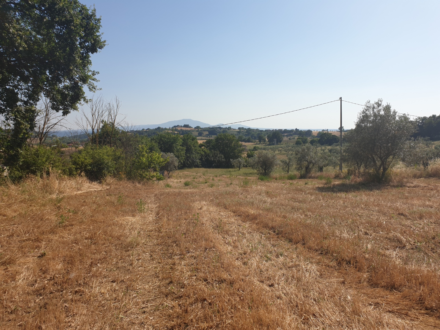 immagine annuncio 3 di 8