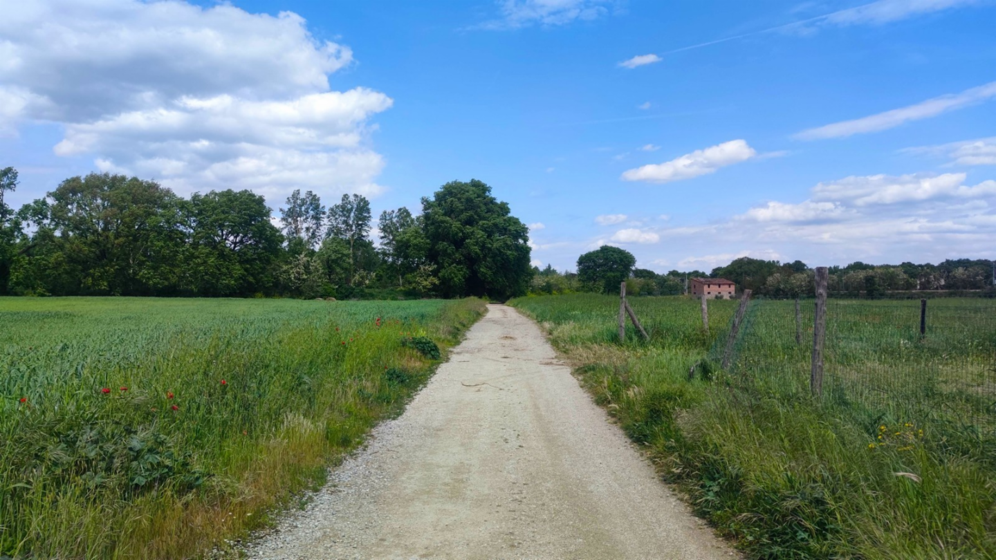 immagine annuncio 6 di 10