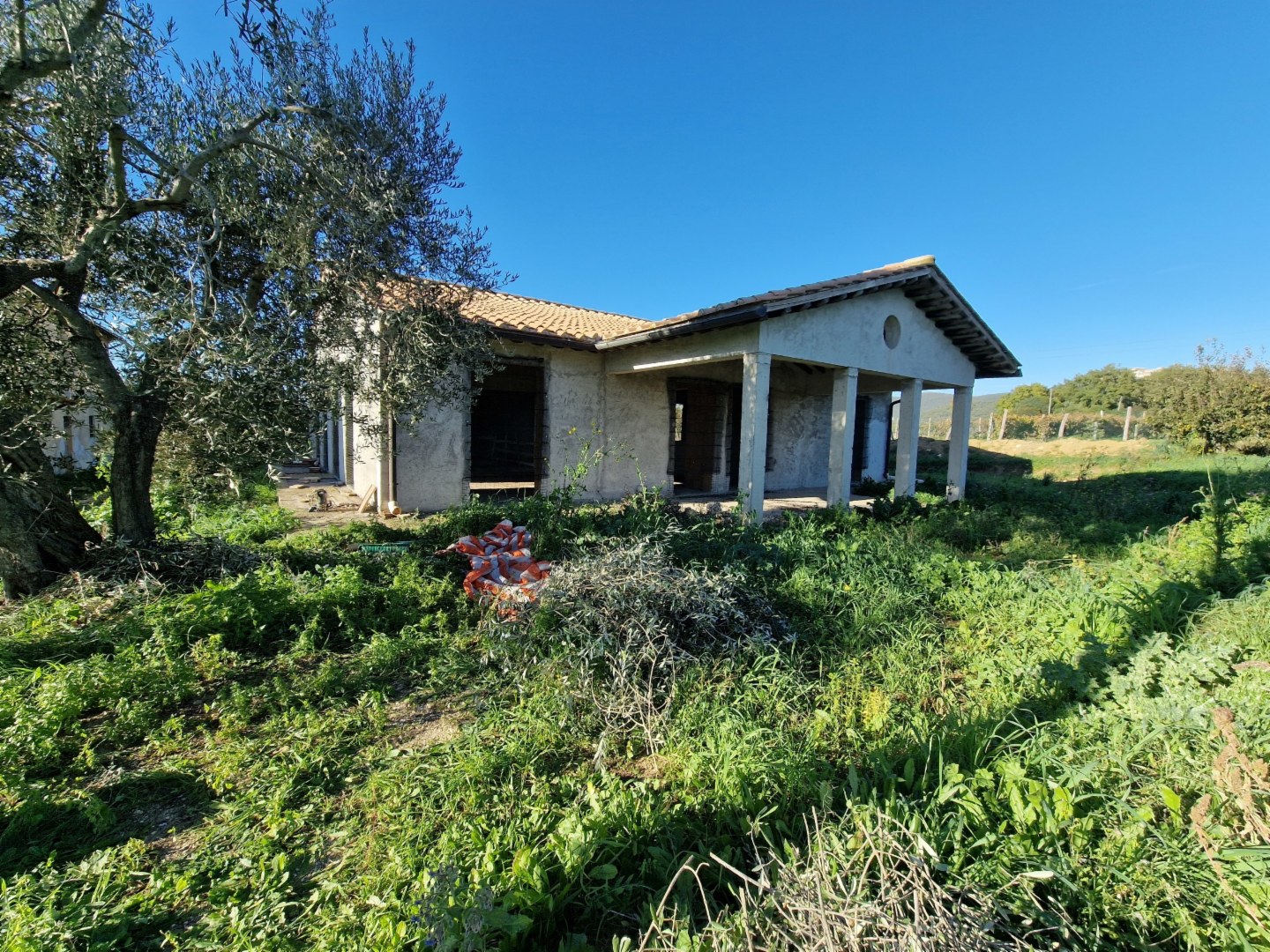 immagine annuncio 3 di 10