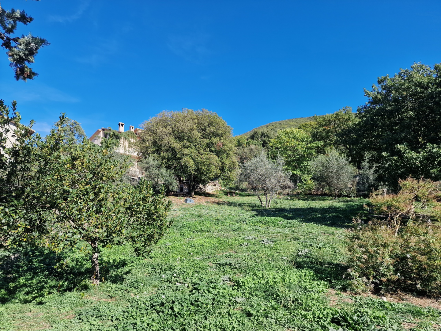 immagine annuncio 4 di 9