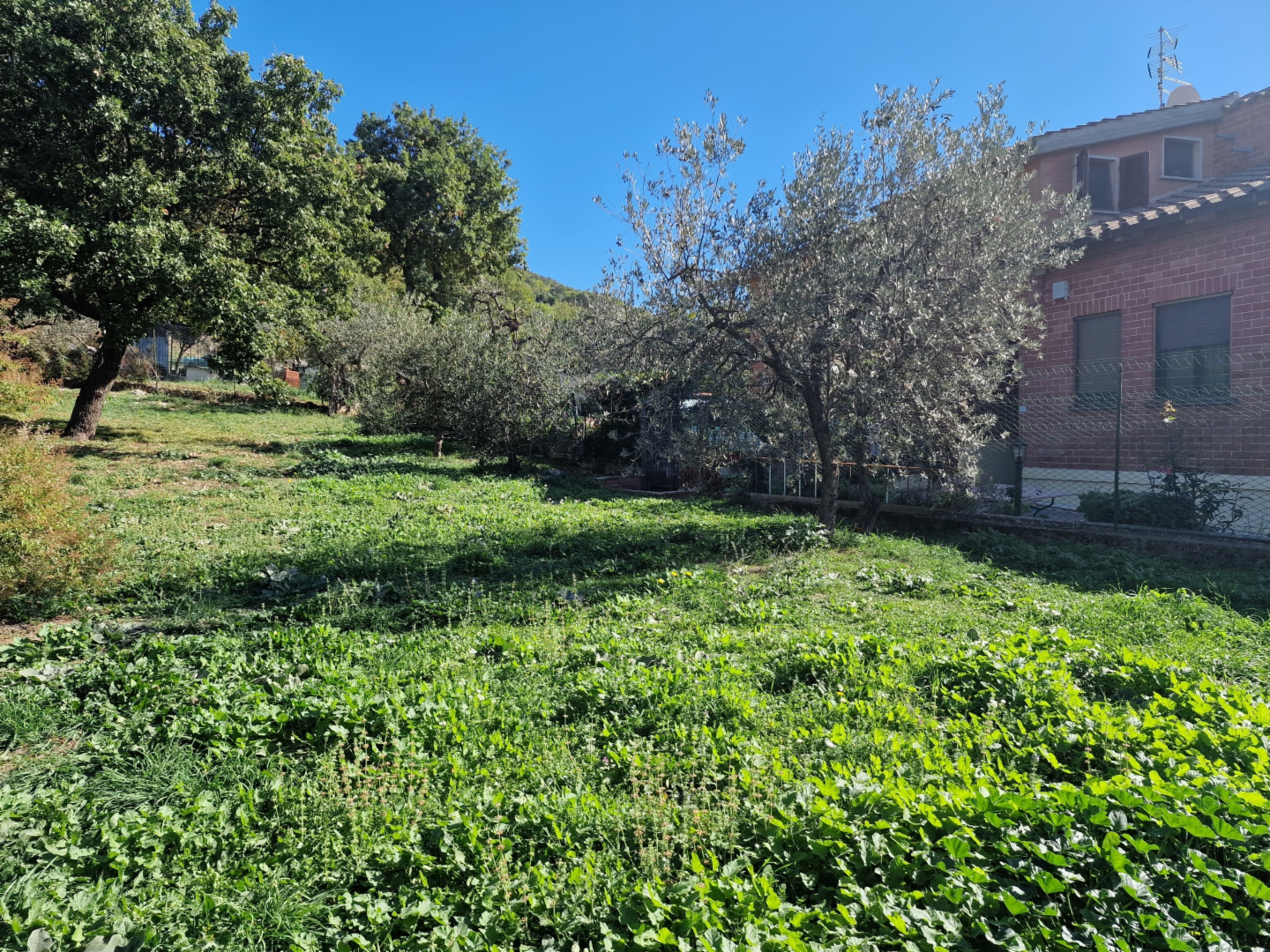 immagine annuncio 5 di 9