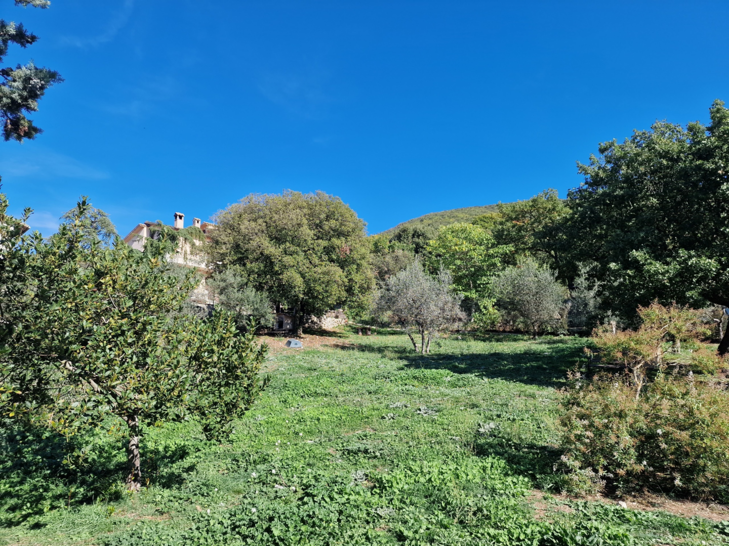 immagine annuncio 6 di 9