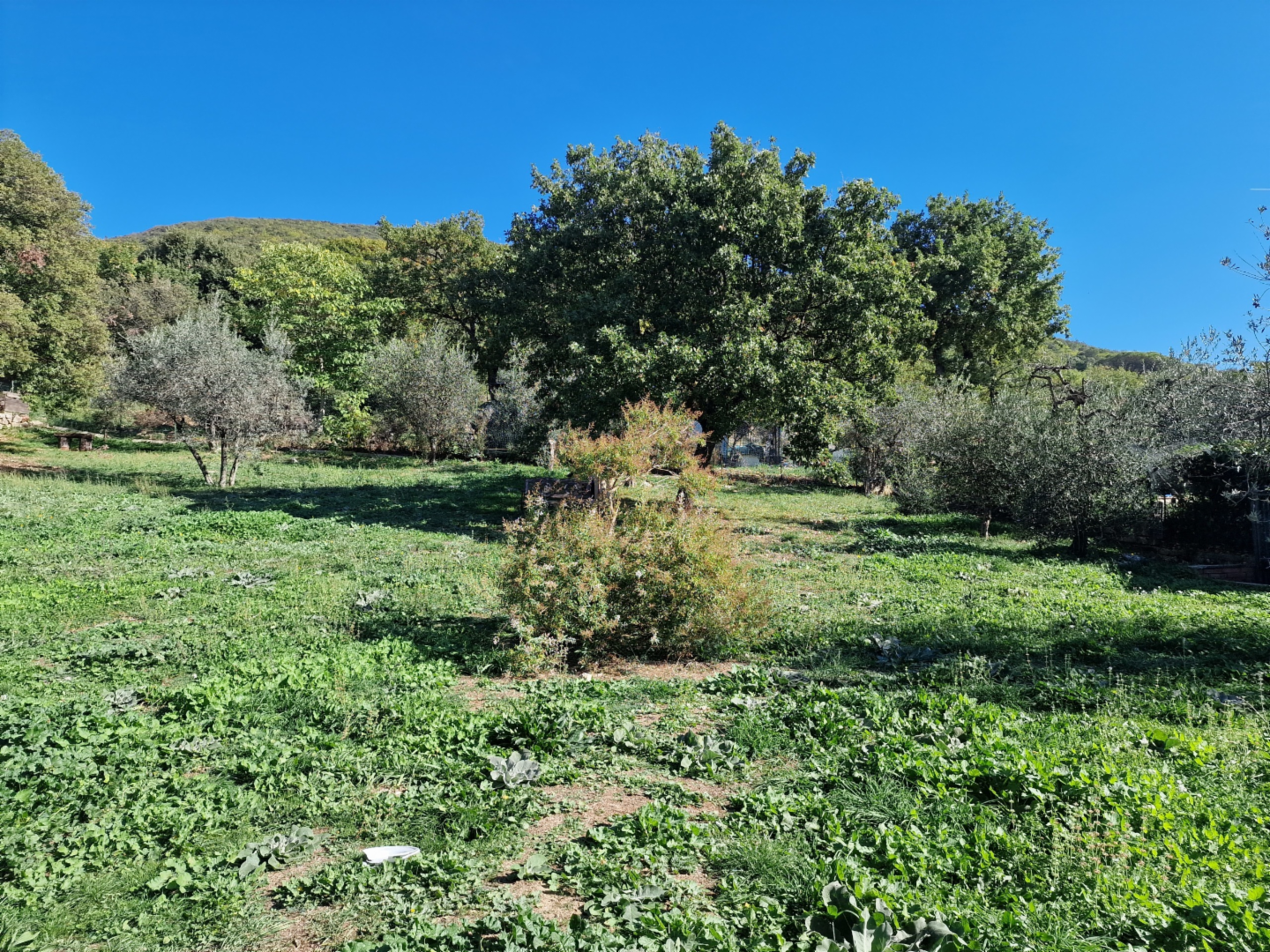 immagine annuncio 8 di 9