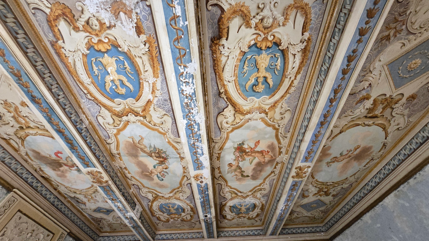 immagine annuncio 9 di 10