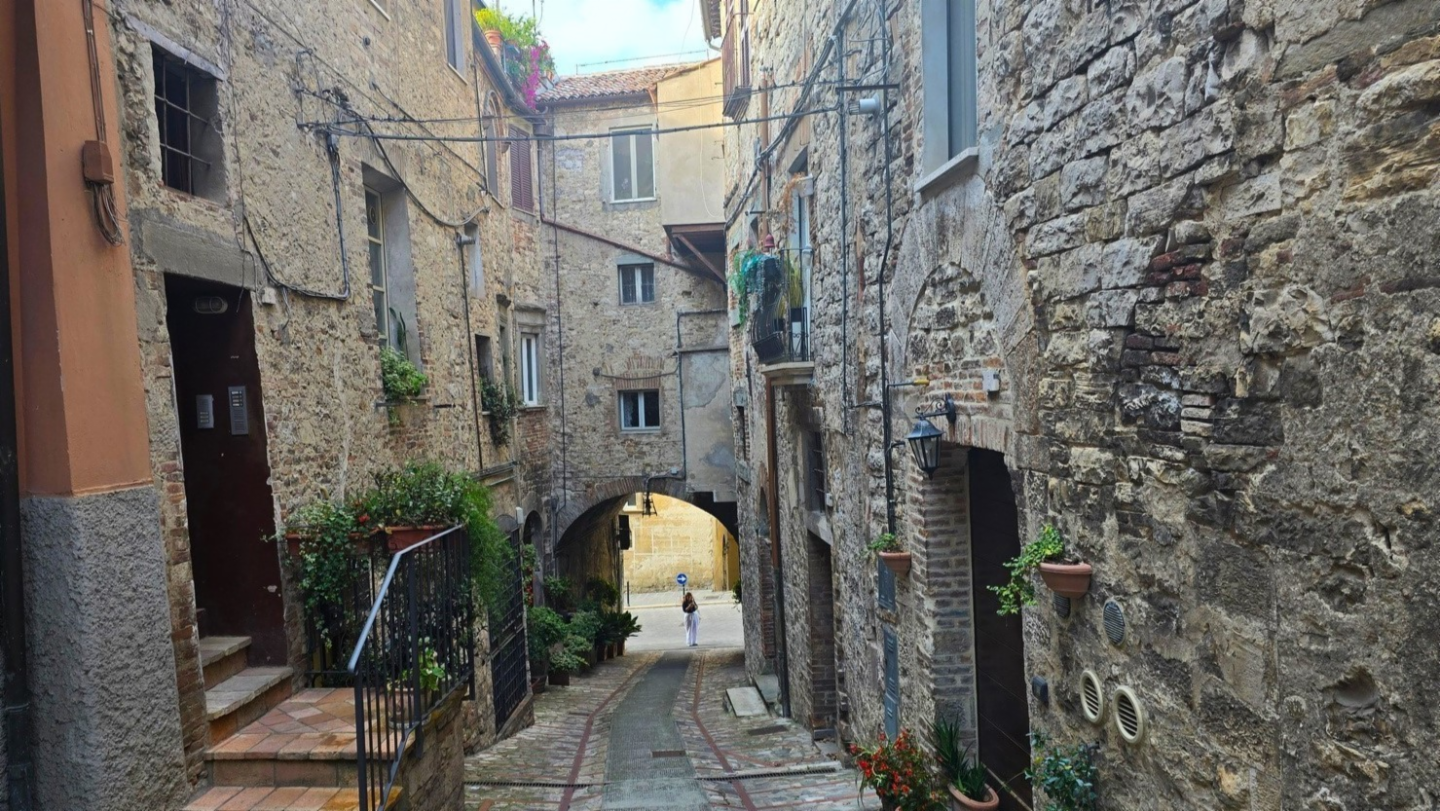 immagine annuncio 7 di 10