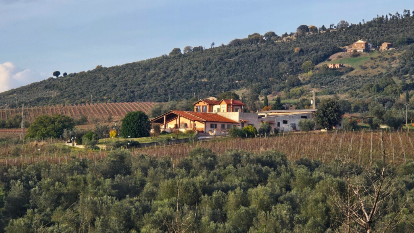 immagine annuncio 2 di 10